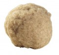 Crin animal gris card�