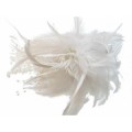 Plumes m�lang�es