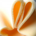 Mousse Tapissier en vrac