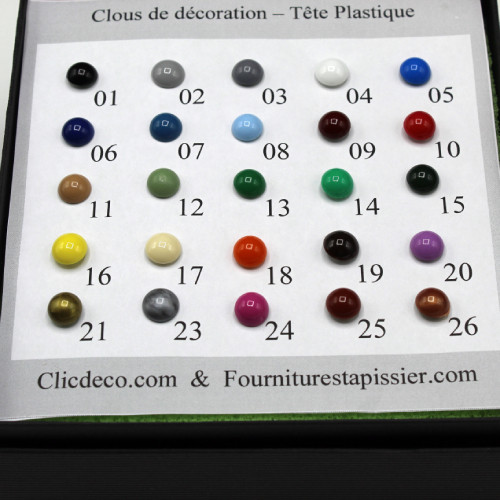 Carte échantillon clous de couleur plastique 