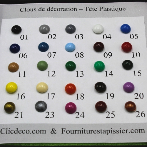 Clous de couleur - tête plastique par 100 pièces
