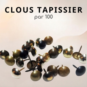 Clous de tapissier & Clous de décoration par 100