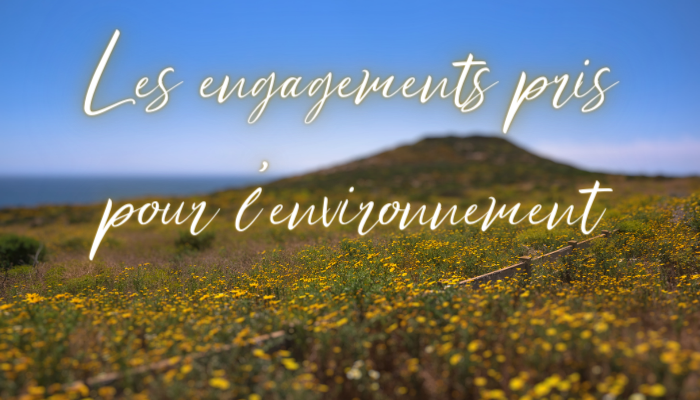 engagement ecologique pour la fabrication de laine 100% francaise